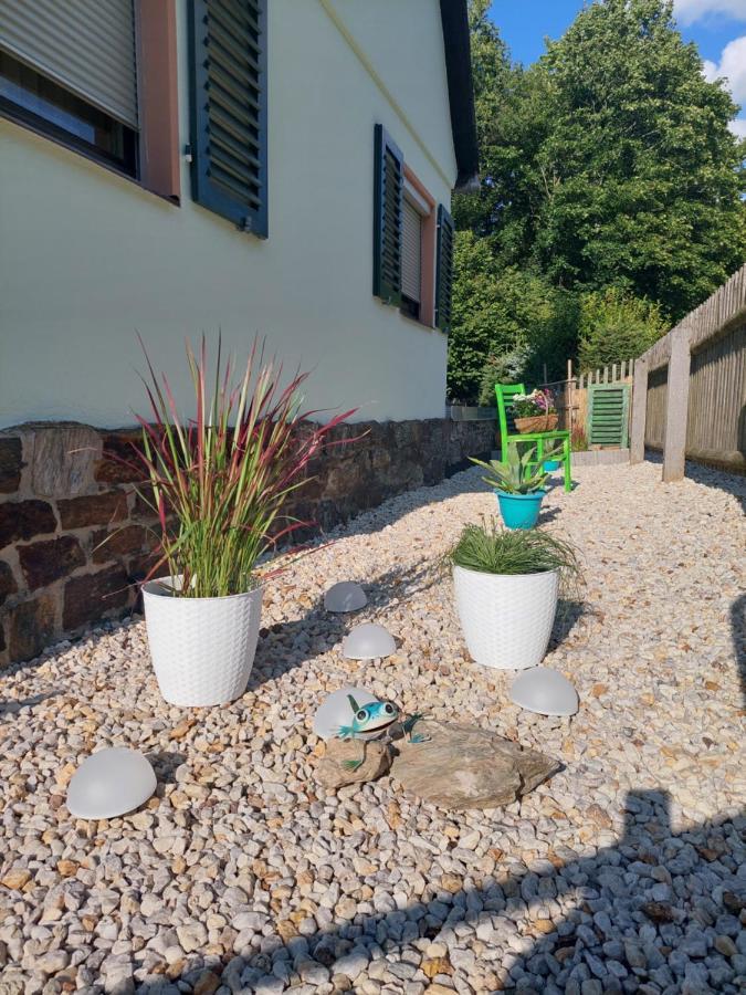Ferienhaus Rosemarie Erlbach Vogtland Eksteriør billede