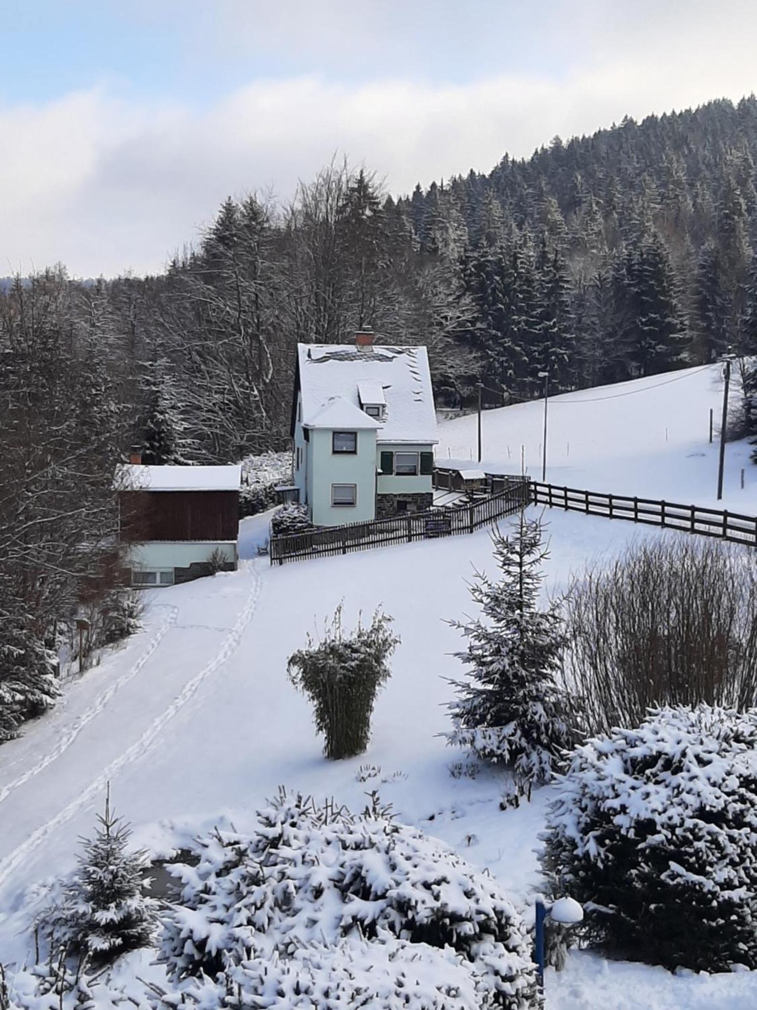 Ferienhaus Rosemarie Erlbach Vogtland Eksteriør billede