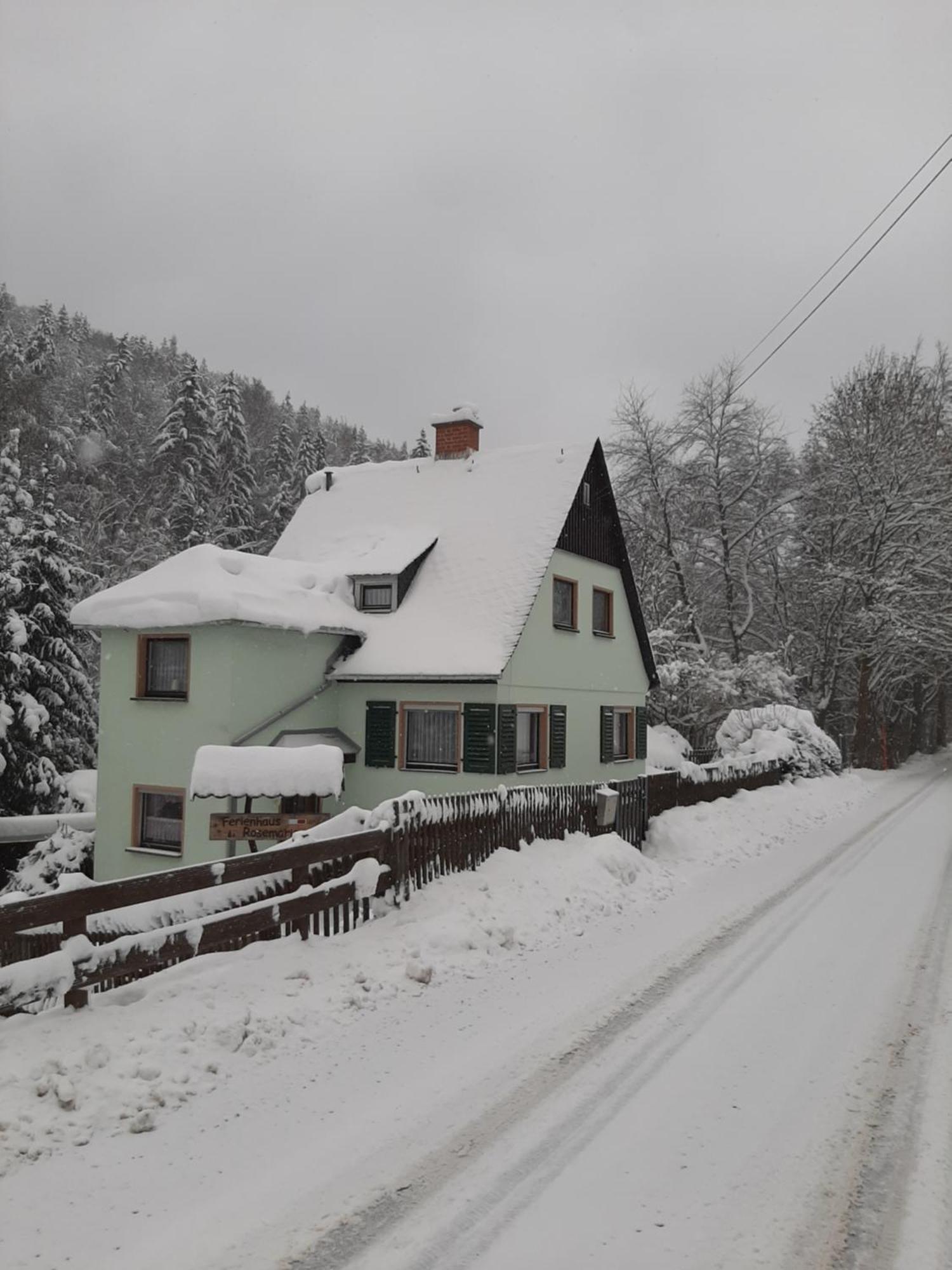 Ferienhaus Rosemarie Erlbach Vogtland Eksteriør billede